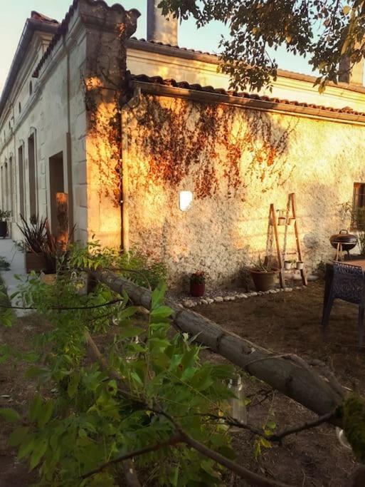 Appartamento Gite A La Ferme Chaleureux Civrac-de-Blaye Esterno foto